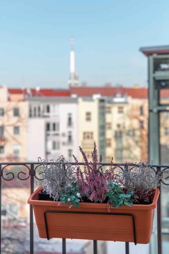 Deluxe Apartment — Dependance Sibelius