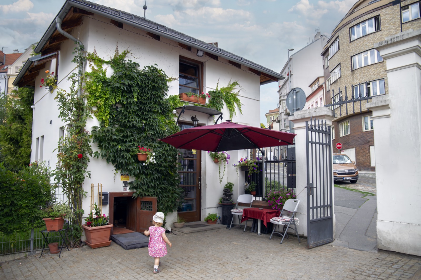 Weinberg im Park Grébovka